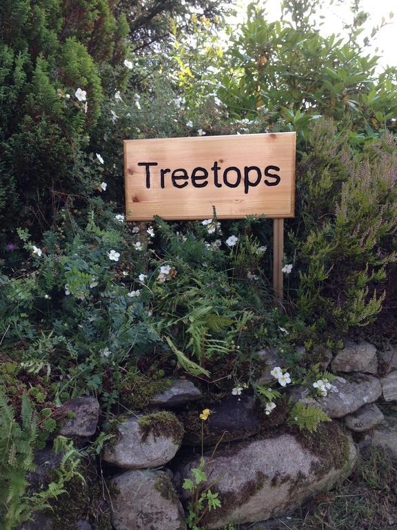 Treetops Bungalow Loch Ness Друмнадрочит Номер фото